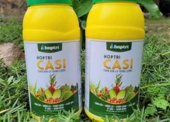 Phân bón lá HOPTRI CASI (500ml) giúp cứng cây, đứng lá chai