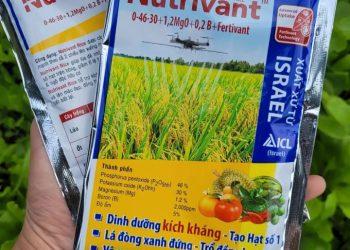 Phân bón lá NUTRIVANT 0-46-30 (Gói 70g)
