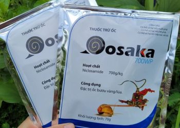 Thuốc xịt ốc bưu vàng, ốc sên Oosaka 700WP (Gói 70g)