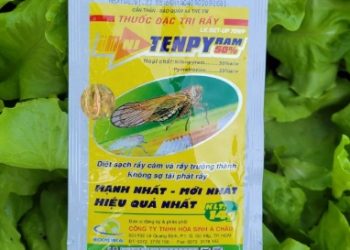Thuốc diệt rầy nâu hại lúa NITENPY RAM (Gói 14g)